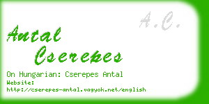 antal cserepes business card